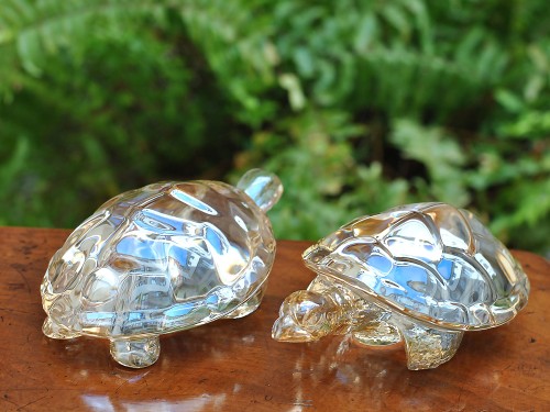 Turtle: Lalique "Caroline"