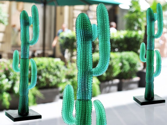 Cactus: Daum " Jardin De...