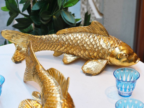 copy of Pesce: Pesce Dorato...