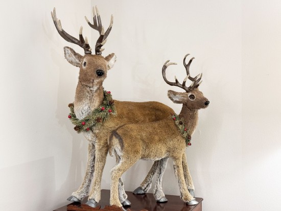 Christmas Deer Big Size