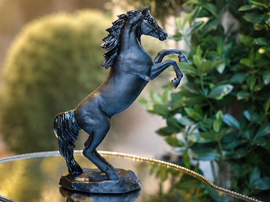 Cavallo Daum "Spirited...